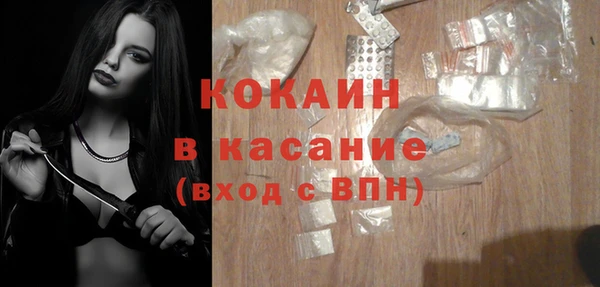 шишки Наволоки