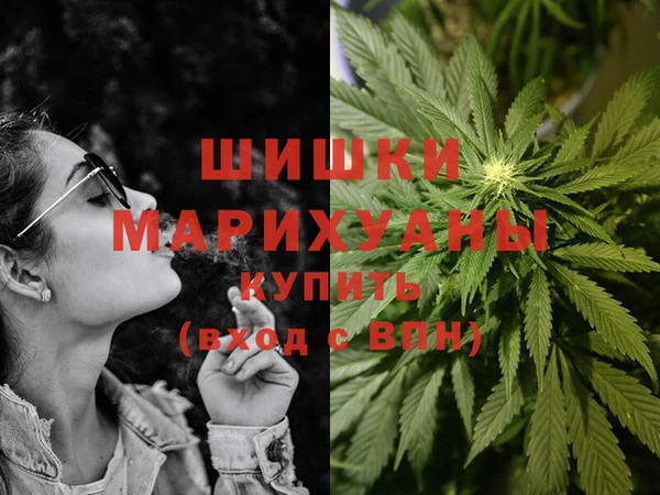 шишки Наволоки