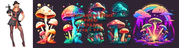 шишки Наволоки