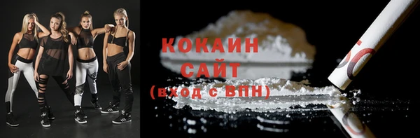 шишки Наволоки