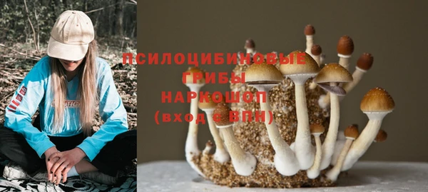 шишки Наволоки