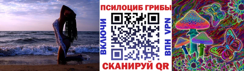 купить наркотики цена  Кузнецк  Псилоцибиновые грибы прущие грибы 