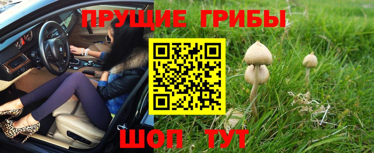 Галлюциногенные грибы GOLDEN TEACHER  Вход с VPN  Галлюциногенные грибы ЛСД  купить наркотики цена  Кузнецк 