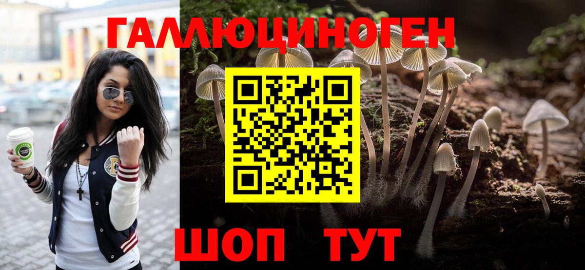 Псилоцибиновые грибы GOLDEN TEACHER Кузнецк